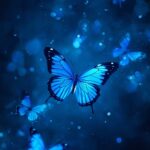 blue-butterfly-aesthetic-wallpaper