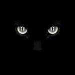 dark-cat-eyes-amoled