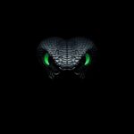 dark-cobra-eyes-amoled-wallpaper