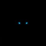 dark-wolf-amoled-wallpaper