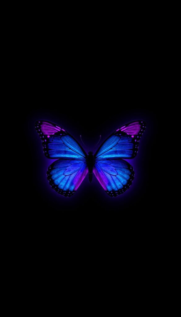 Midnight Neon Butterfly AMOLED Wallpaper 4K phone amoled