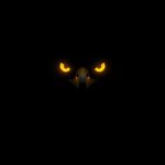 minimal-dark-eagle-amoled