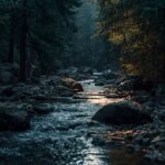 minimal-river-forest-wallpaper