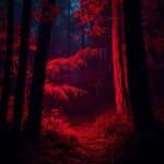 red-neon-forest-wallpaper
