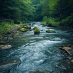 river-through-forest-wallpaper