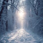 snowy-forest-wallpaper