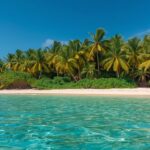 tropical-beach-wallpaper
